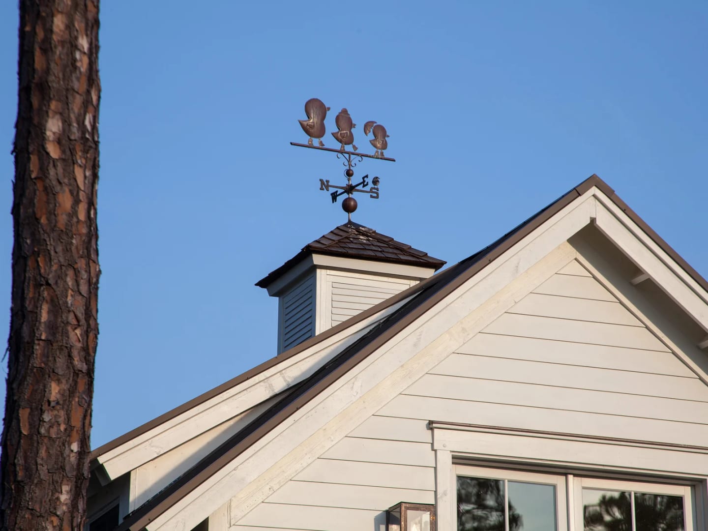 Cupola weathervane, Duck Crossing Residence in Palmetto Bluff, South Carolina